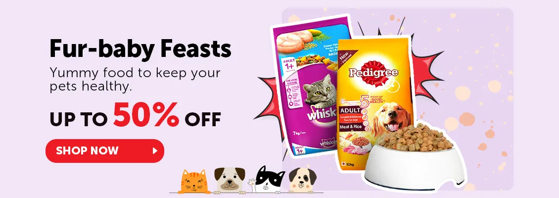 hp_m_petstore_250923_400